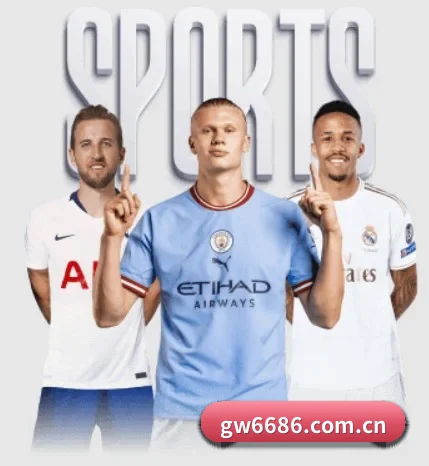 五大服务分区,信息按项目分类